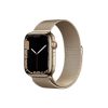 Apple Watch Series 7 correa dorada